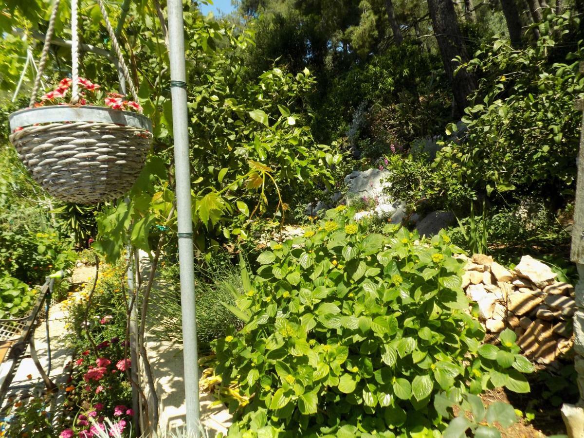 Apartman Zerjav Mali Lošinj